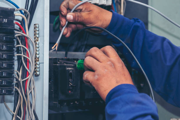 Best Residential Electrician Services  in Clemson University, SC